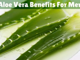 Aloe Vera has several health benefits Aloe Vera