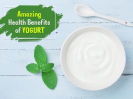 Yogurt