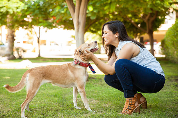 Best Dog Foods for Your Puppy's Health