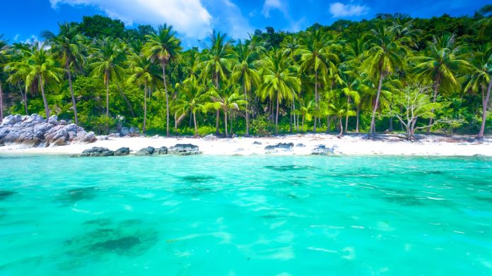 plan a Koh Samui getaway with Traveloka
